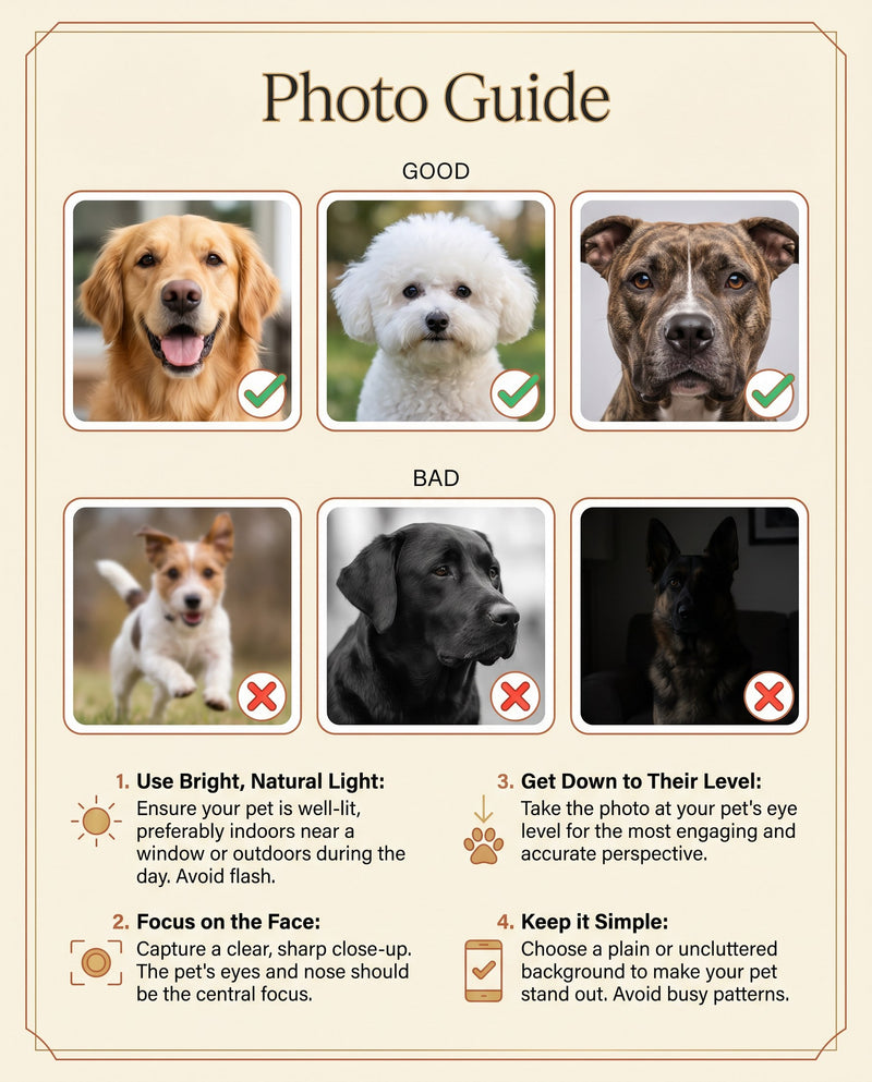 Photo guide infographic for ordering custom pet napkins