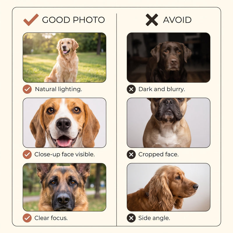 Photo guide infographic for ordering pet photo blanket
