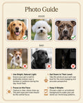 Photo guide infographic for ordering custom pet napkins