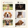 Photo guide infographic for ordering pet photo blanket