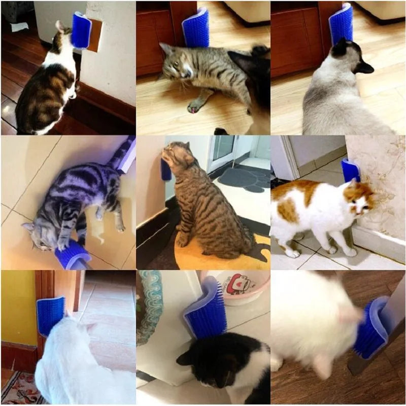 Cat using self-groomer scratch brush