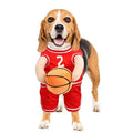 Dog wearing sporty pet costume