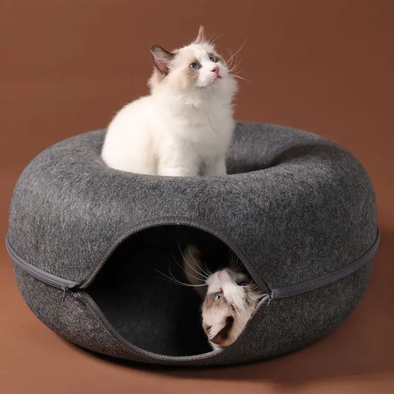Cat napping in donut bed