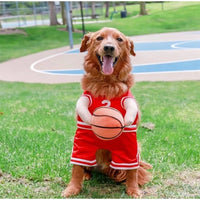 Basketball Baller Dog Costume with Ball – Sporty Pet Costume
