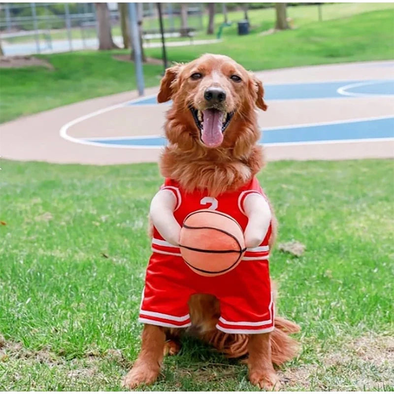 Dog wearing basketball costume with ball