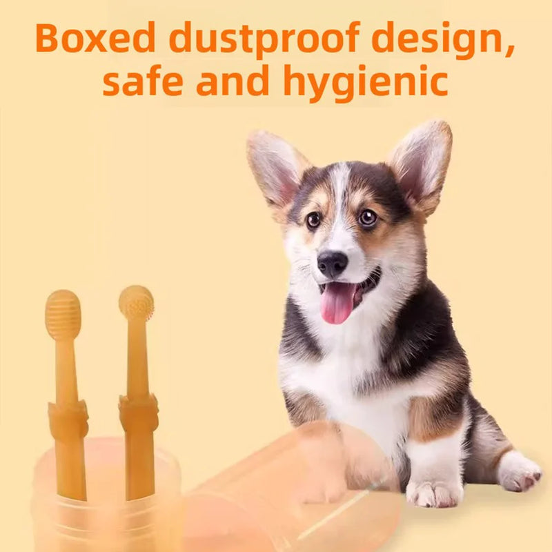Pet toothbrush multi-angle cleaning head