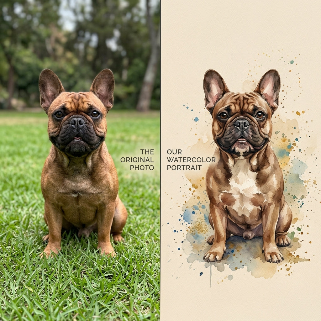 Before & After