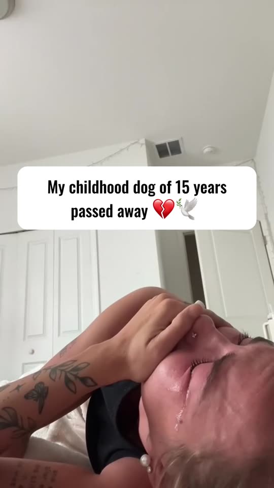 Customer sharing a story about a pet they lost